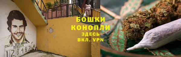 СК Покров
