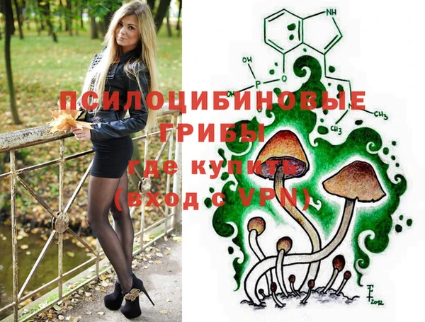 СК Покров