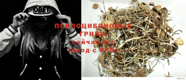 СК Покров