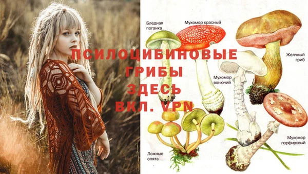 СК Покров