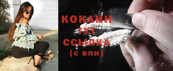 индика Ессентукская