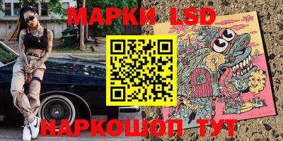 крисы Беслан