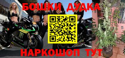 гидра Бийск