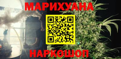 гидра Бийск