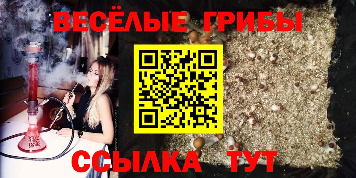 Галлюциногенные грибы мицелий  Вольск 