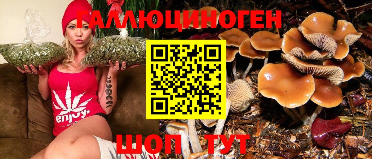 Галлюциногенные грибы GOLDEN TEACHER Вольск