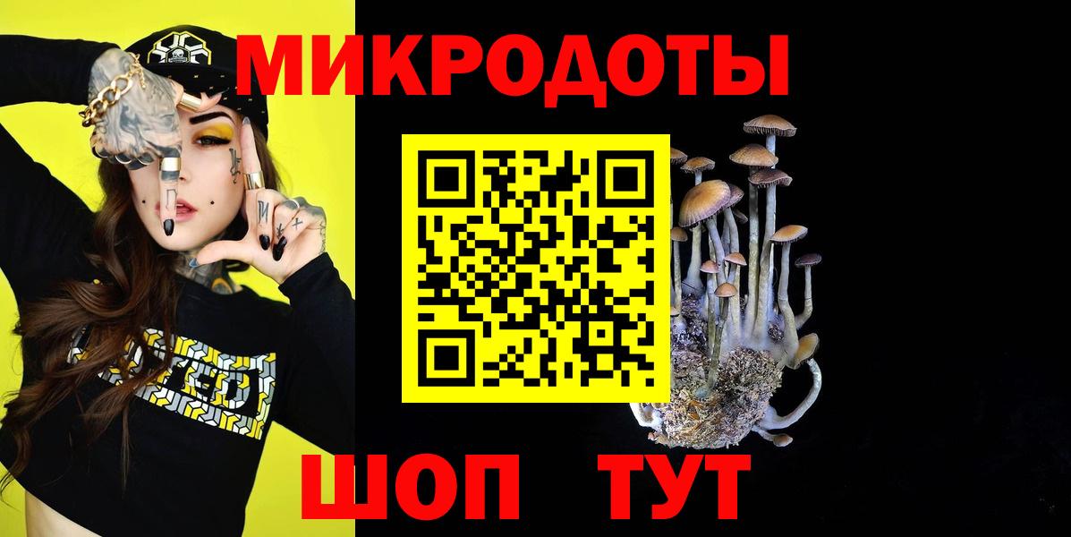Вольск  Псилоцибиновые грибы MAGIC MUSHROOMS  Вход с VPN  Галлюциногенные грибы Psilocybe 